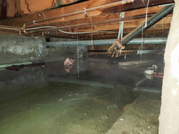 Best Ceiling water damage repair  in Spring Arbor, MI