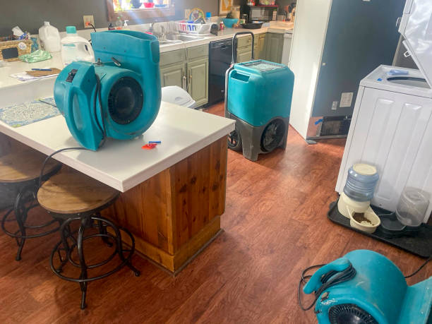 Best Basement water damage restoration  in Spring Arbor, MI