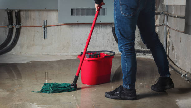 Best Water damage contractors near me  in Spring Arbor, MI