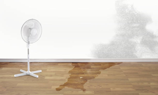 Best Water damage repair service  in Spring Arbor, MI