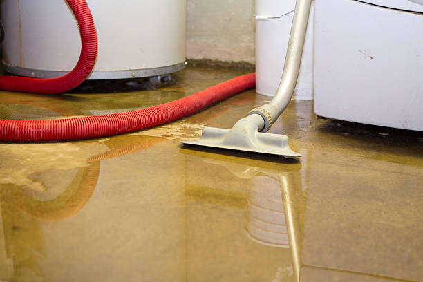 Best 24-hour water damage restoration  in Spring Arbor, MI