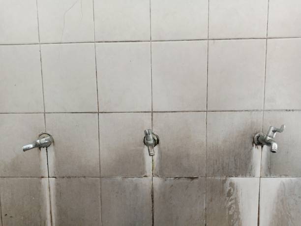 Best Commercial water damage restoration  in Spring Arbor, MI
