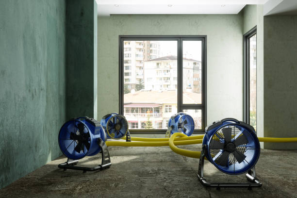Best Water damage restoration services  in Spring Arbor, MI