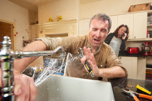 Best Flood restoration services  in Spring Arbor, MI